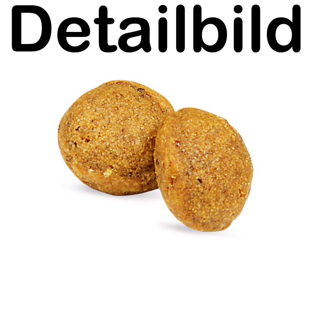 Abverkauf alte Rezeptur   2er_SET Trockenfutter Hund VeggieDog Origin (nicht Bio) 10kg Green Petfood - Bild 2