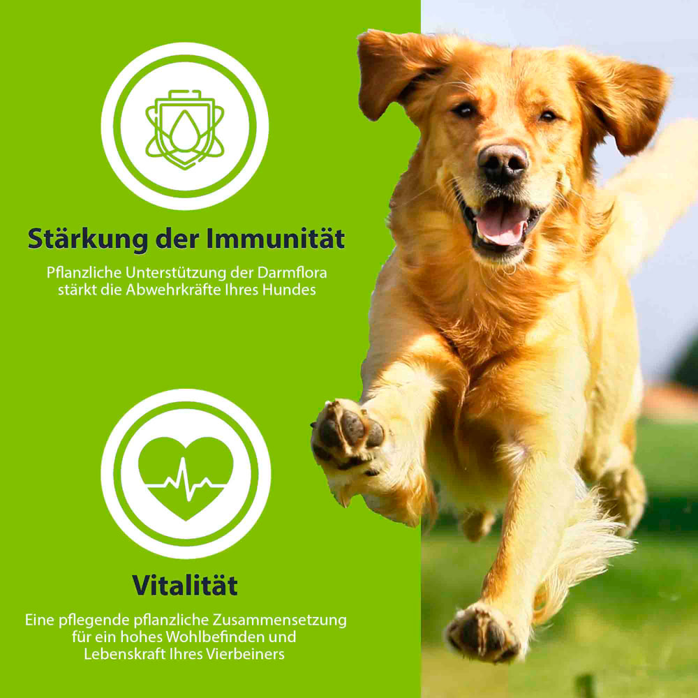 Haltbar bis 07.07.2026   Hundetrockenfutter Vega Adult Grainfree  (Nicht Bio) 5kg German Shephy - Bild 6